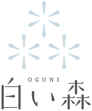 道の駅 白い森おぐに