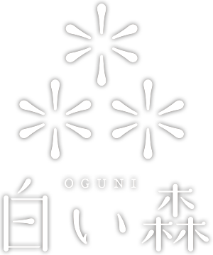 道の駅 白い森おぐに